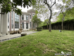 当我们集中到上海焦点区域(静安、普陀、杨浦